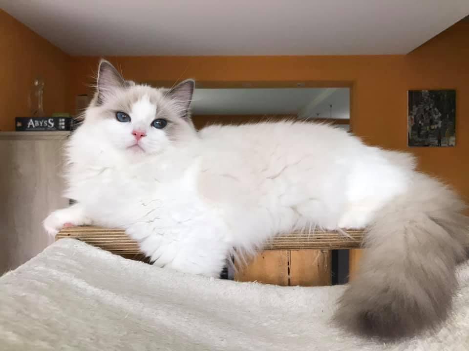 Pretty 2